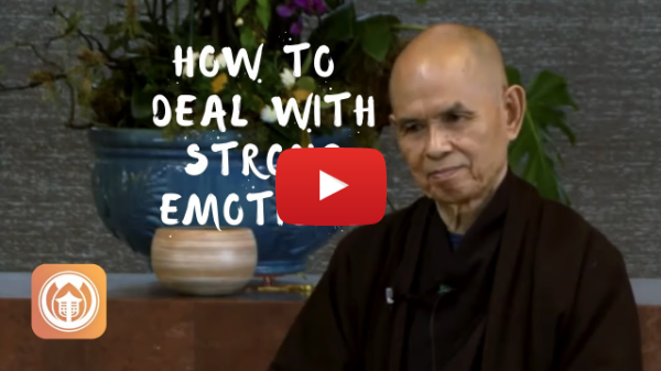 How To Deal with Strong Emotions | Thich Nhat Hanh (short teaching video)
